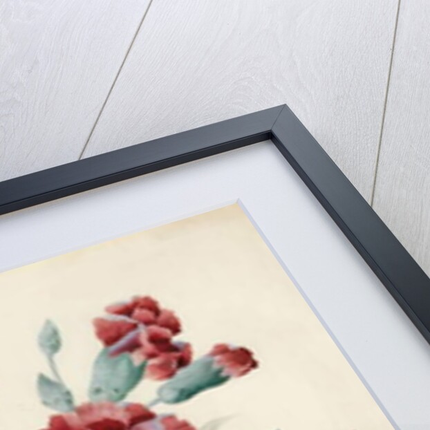 A Spray of Flowers including a Rose, a Blue Convolvulus and Pansies, 1830 by Caroline Adrien