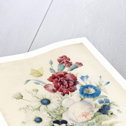 A Spray of Flowers including a Rose, a Blue Convolvulus and Pansies, 1830 by Caroline Adrien