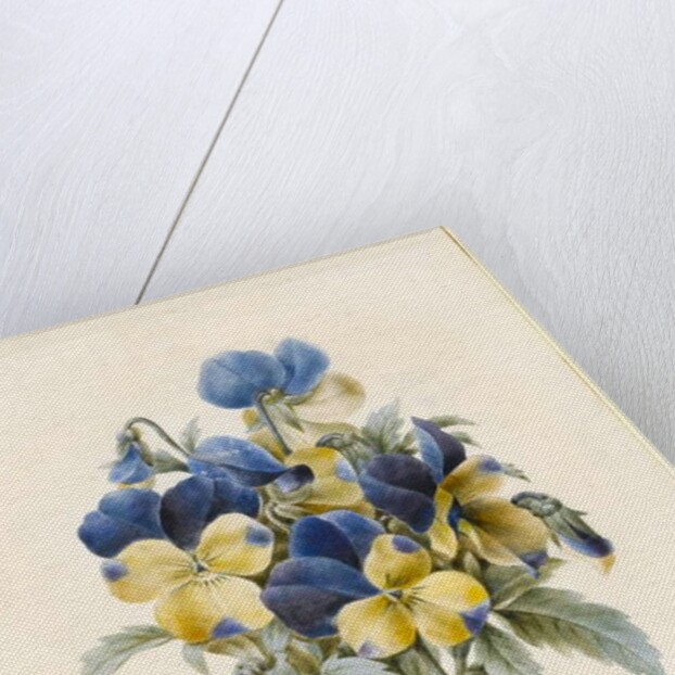 Sprig of Pansies by Madame Benoit