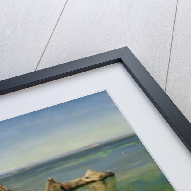 Anstey's Cove, Devon, 1854 by John William Inchbold