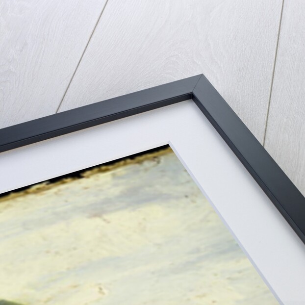 Still Life with Apples and Walnuts, c.1865-70 by Pierre Auguste Renoir