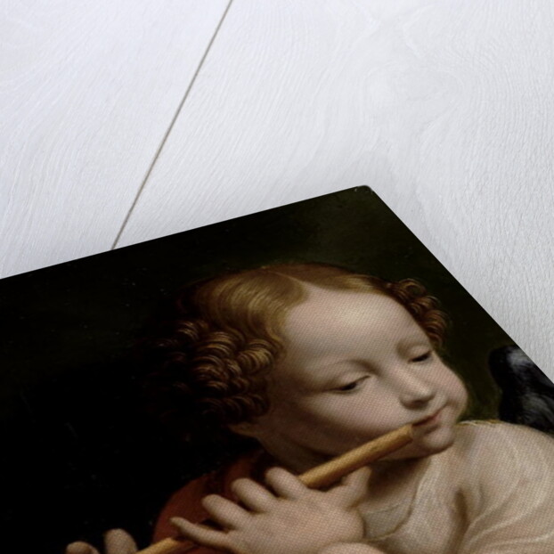 Child Angel Playing a Flute, c.1500 by Bernardino Luini