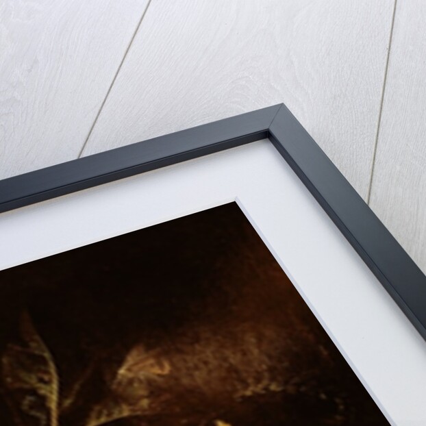 Still Life of Fruit and Nuts on a Stone Ledge by Abraham Mignon