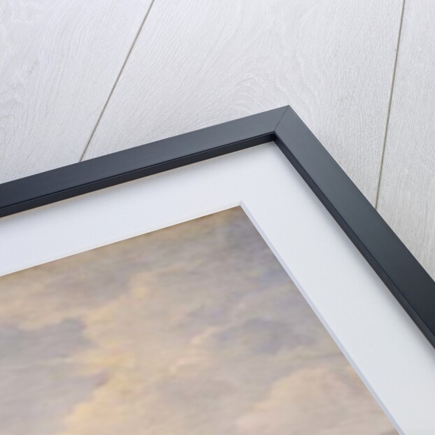 View on the Rhine, near Cologne, c.1700-10 by Jan the Elder Griffier