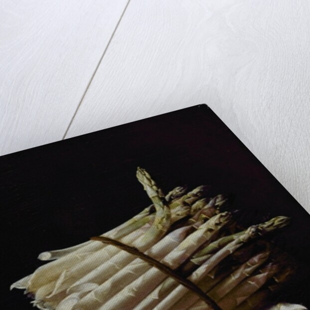 Bunch of Asparagus, 1703 by Adrian Coorte