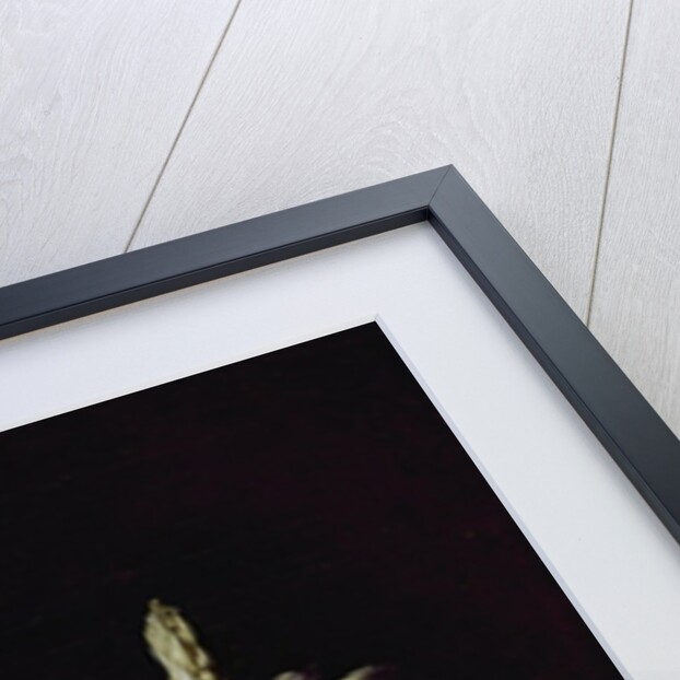 Bunch of Asparagus, 1703 by Adrian Coorte