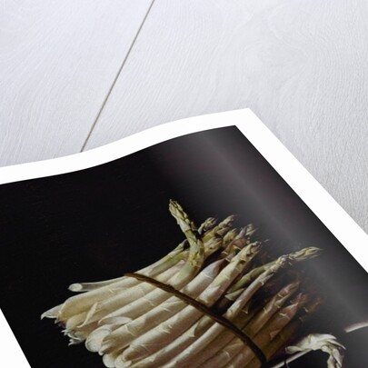 Bunch of Asparagus, 1703 by Adrian Coorte