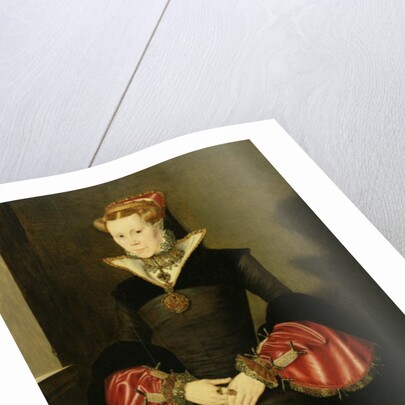 Unknown Lady from the court of King Edward VI c.1550-55 by Hans Eworth or Ewoutsz