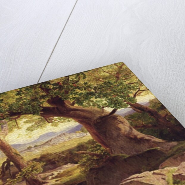 The Temple of Apollo, Bassae, 1854-55 by Edward Lear