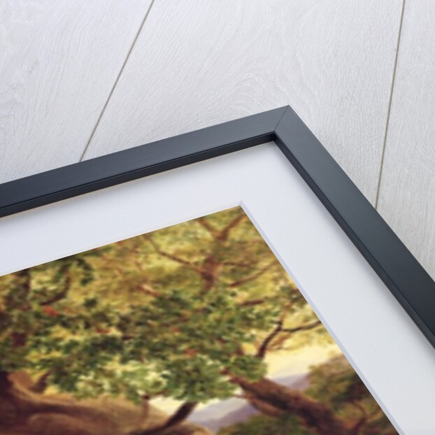 The Temple of Apollo, Bassae, 1854-55 by Edward Lear