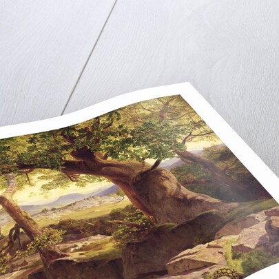 The Temple of Apollo, Bassae, 1854-55 by Edward Lear