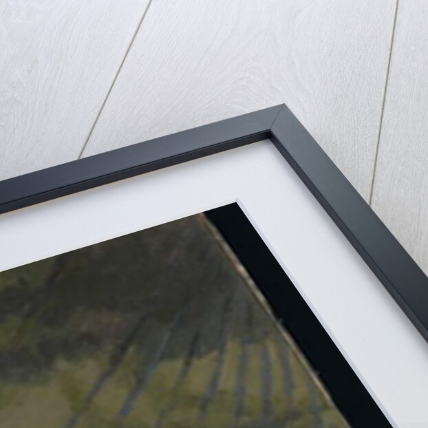 The Trapeze, 1920 by Walter Richard Sickert