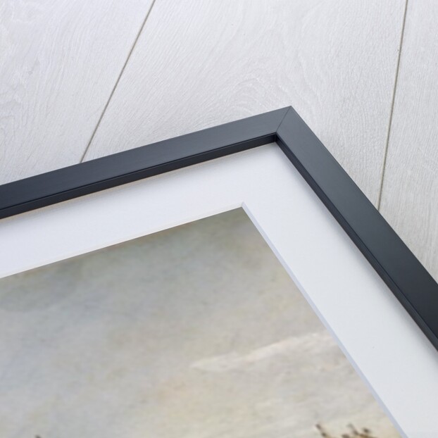 Entrance to the Grand Canal, Venice by Bernardo Bellotto