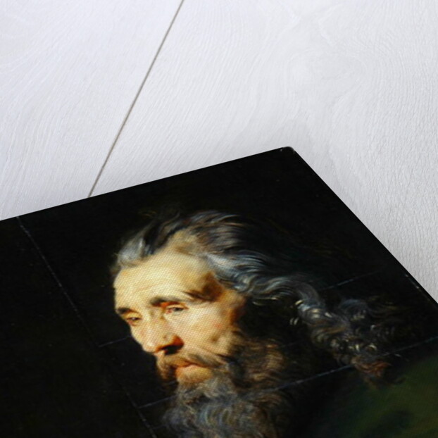 Head Study of a Bearded Man, c.1617 by Peter Paul Rubens