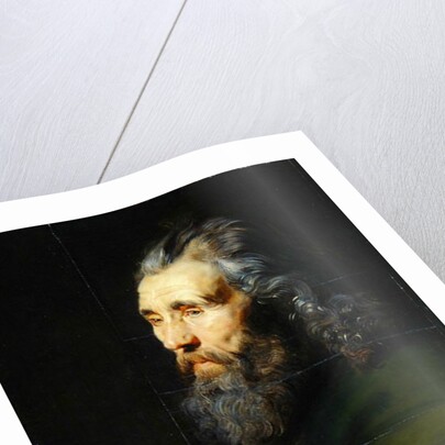 Head Study of a Bearded Man, c.1617 by Peter Paul Rubens