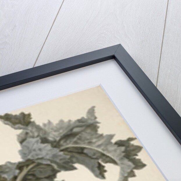 Double-flowered opium poppies, poppy leaves, delphinium and a rosebud by Eelke-Jelles Eelkema