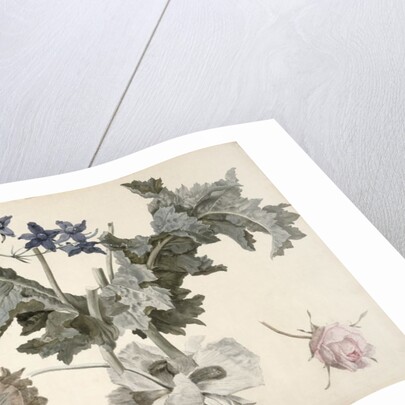 Double-flowered opium poppies, poppy leaves, delphinium and a rosebud by Eelke-Jelles Eelkema