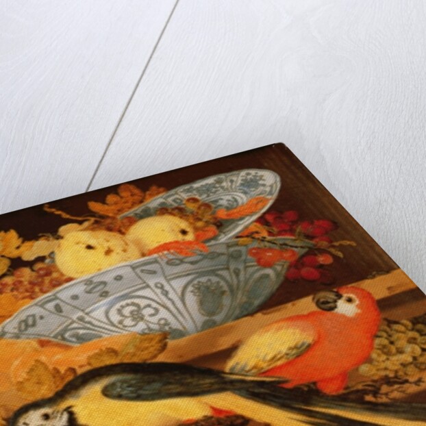 Still Life with Fruit and Macaws, 1622 by Balthasar van der Ast