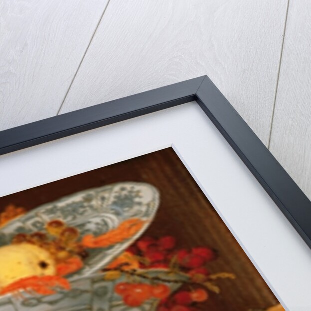 Still Life with Fruit and Macaws, 1622 by Balthasar van der Ast