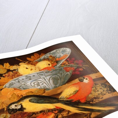 Still Life with Fruit and Macaws, 1622 by Balthasar van der Ast