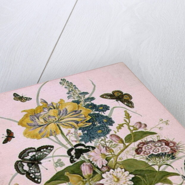 PD.912-1973 Still life of flowers including a parrot tulip, larkspur, sweet william, gentian and cyclamen, 1769 by Thomas Robins