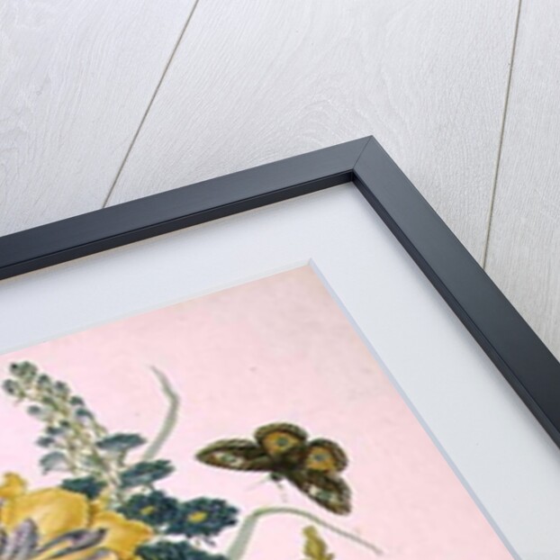 PD.912-1973 Still life of flowers including a parrot tulip, larkspur, sweet william, gentian and cyclamen, 1769 by Thomas Robins