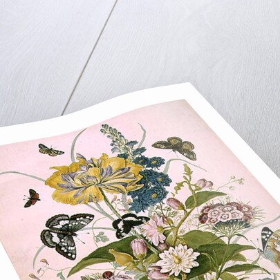 PD.912-1973 Still life of flowers including a parrot tulip, larkspur, sweet william, gentian and cyclamen, 1769 by Thomas Robins