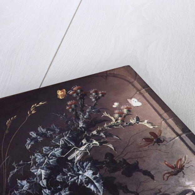 Stone Niche with Thistle, Lizard and Insects, 1690 by Elias van den Broeck