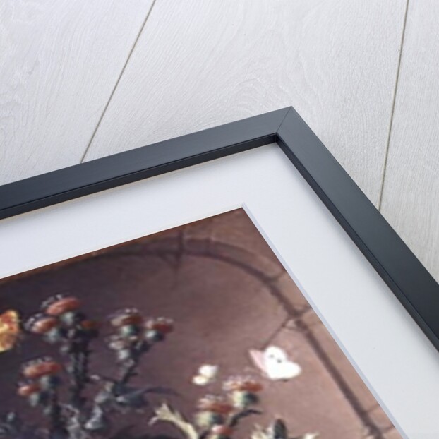 Stone Niche with Thistle, Lizard and Insects, 1690 by Elias van den Broeck