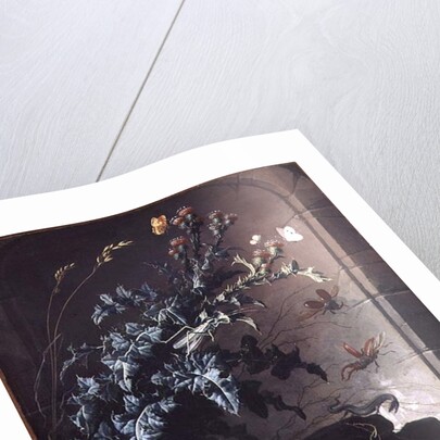 Stone Niche with Thistle, Lizard and Insects, 1690 by Elias van den Broeck