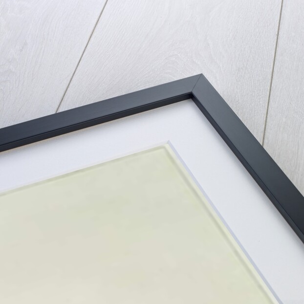 Night-flower cactus, native to Jamaica by Henriette Gertruide Knip