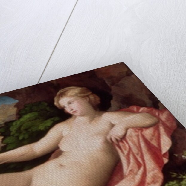 Venus and Cupid, c.1523-24 by Jacopo Palma