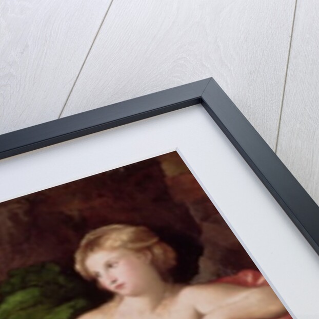 Venus and Cupid, c.1523-24 by Jacopo Palma