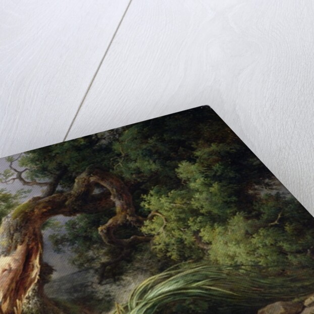 The Oak and the Reed, 1816 by Achille Etna Michallon