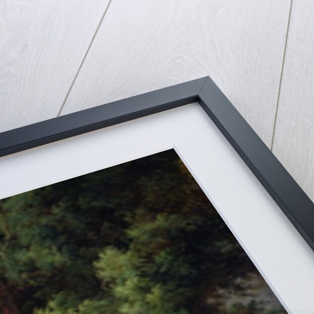 The Oak and the Reed, 1816 by Achille Etna Michallon