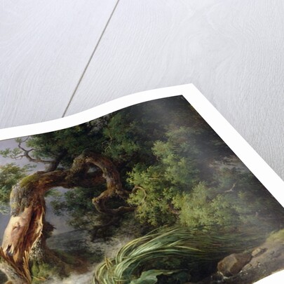 The Oak and the Reed, 1816 by Achille Etna Michallon