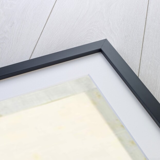 Man playing the zheng by Youqua Youqua