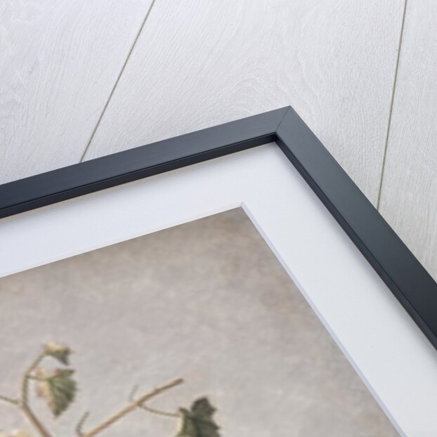 PD.874-1973 Still Life of a Table with Flowers and Fruit, c.1810 by Jean-Louis Prevost