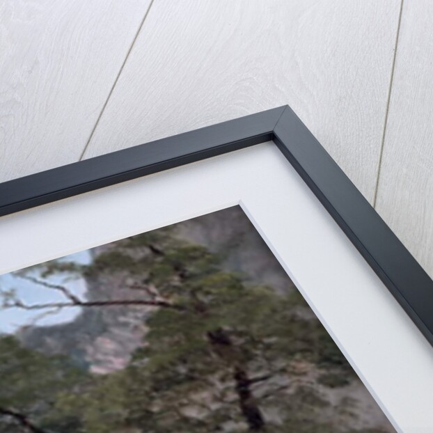 Yosemite Valley by Albert Bierstadt