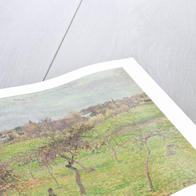 Apple Trees in a Meadow at Eragny, 1894 by Camille Pissarro