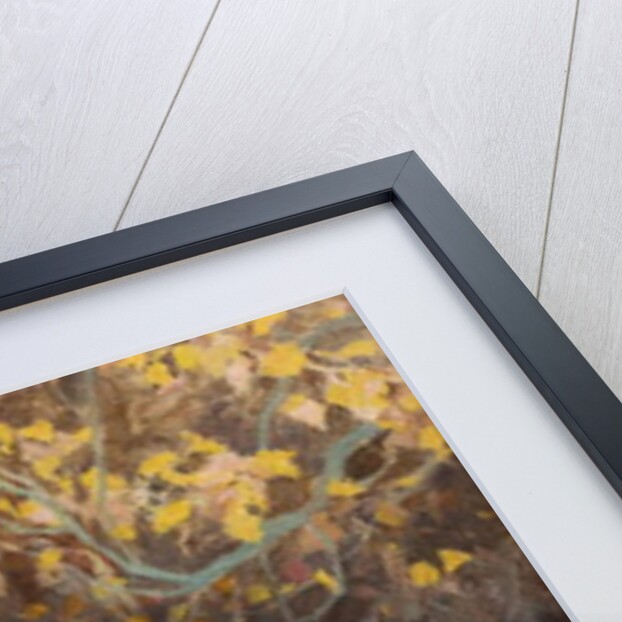 The Medicine Maker by Eanger Irving Couse