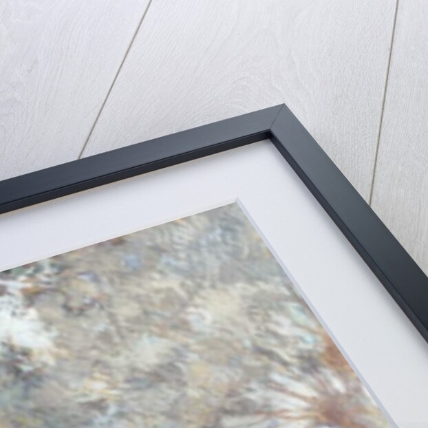 Nude with Swans, c.1895 by Camille Pissarro