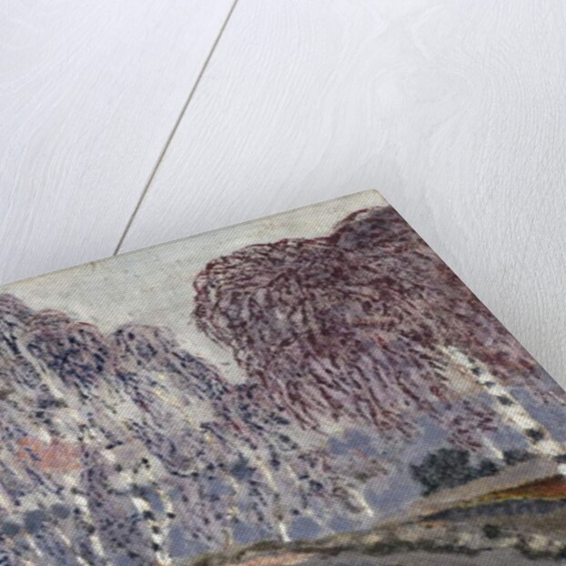 Birches at L'Etang-a-la-Ville, 1896 by Edouard Vuillard