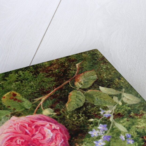 Pink Rose on a Mossy Bank, 1875 by Henry Sutton Palmer