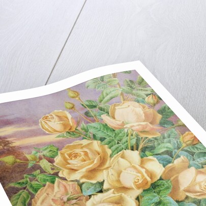 Yellow Roses by Thomas Frederick Collier