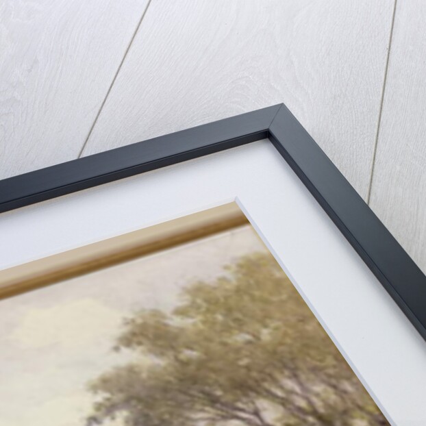 An Herbaceous Border by Harry E. James