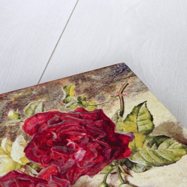 One White and Two Red Roses and Buds by Helen Cordelia Coleman Angell