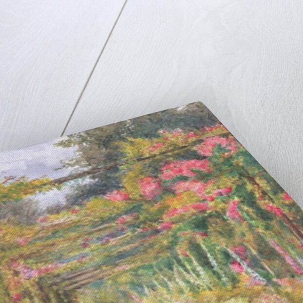 Young Girl Walking under a Rose Pergola by English School