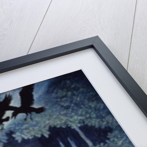 Snow-Drop by Newell Convers Wyeth