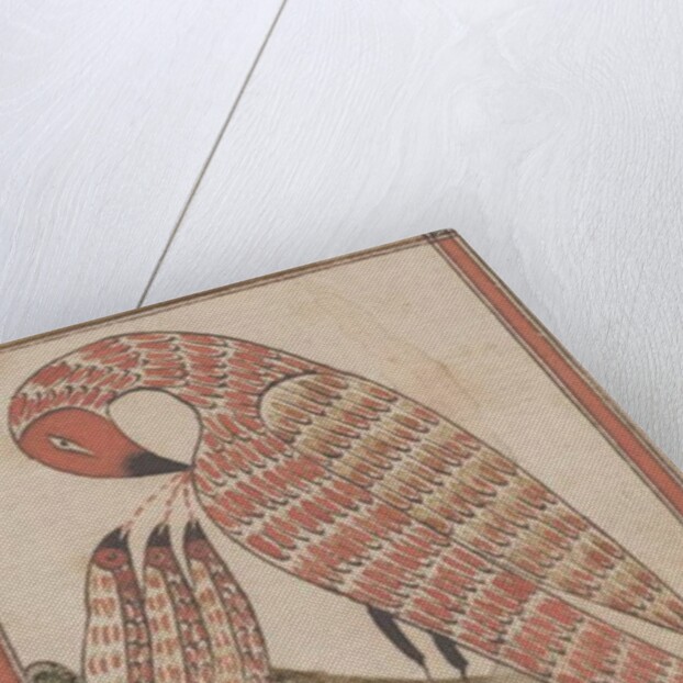 Pelican in it's Piety, c.1800 by American School